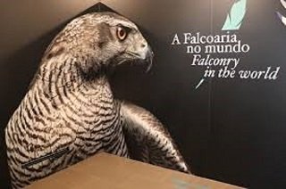 Falcoaria no Mundo: Especial Salvaterra de Magos– Valkenswaard