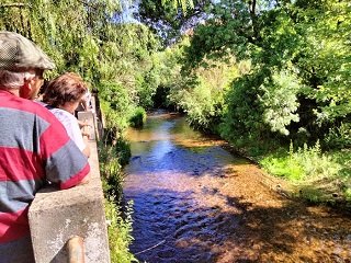 Visita Guiada: A Ribeira de Pernes